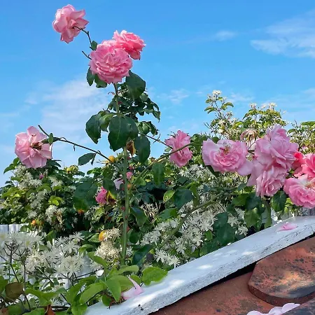 Prázdninový dům 6 Person In Otterup-by Traum Otterup